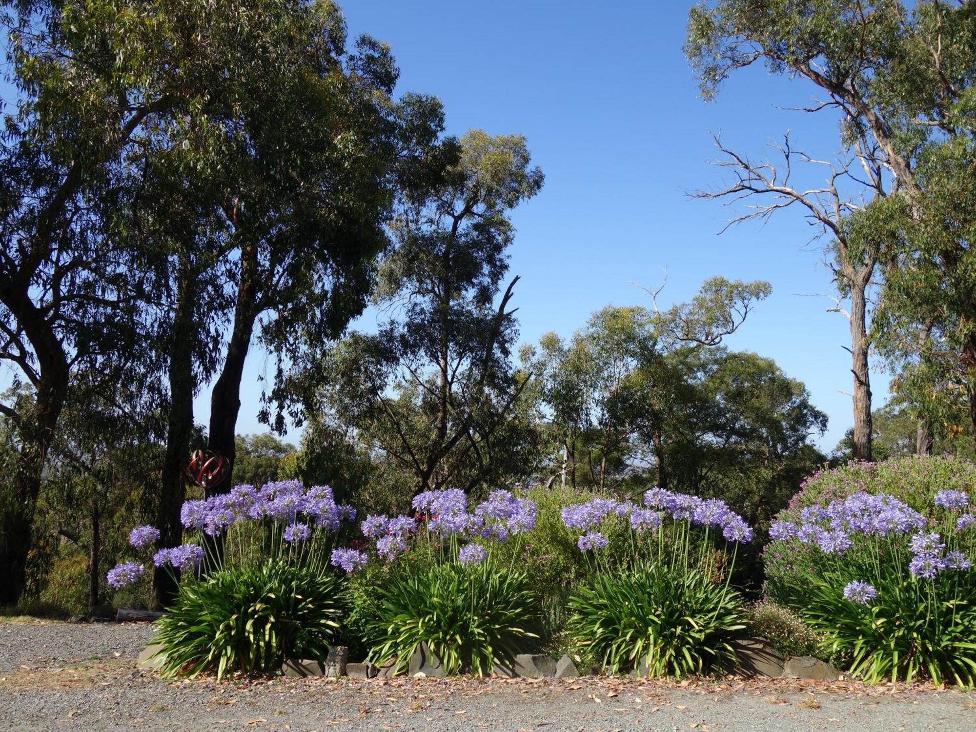 Kookaburra Retreat Apartment Pakenham Exterior photo