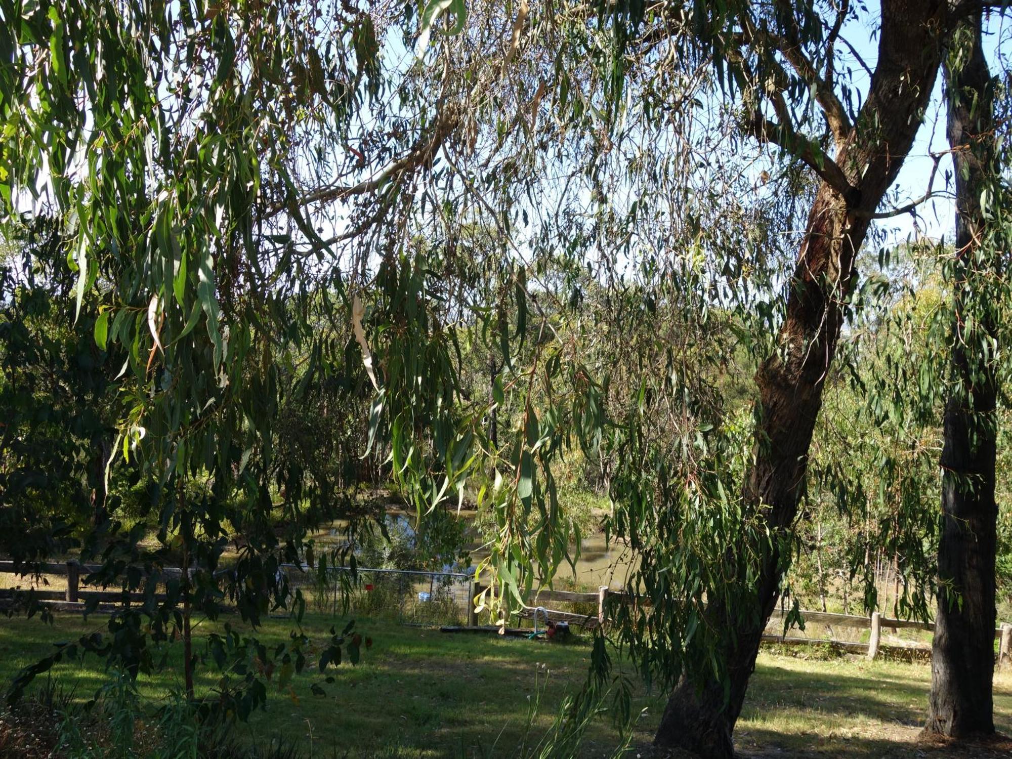 Kookaburra Retreat Apartment Pakenham Exterior photo