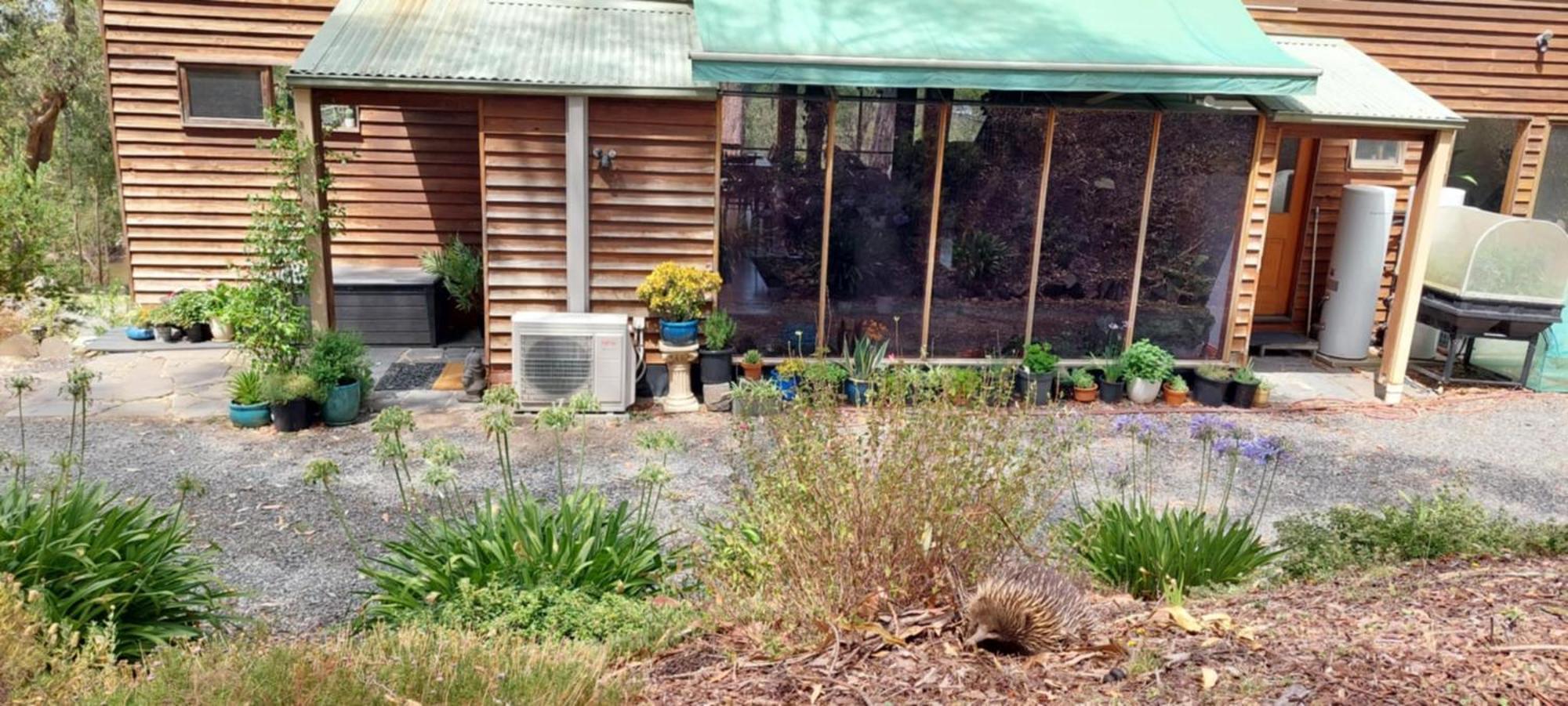 Kookaburra Retreat Apartment Pakenham Exterior photo